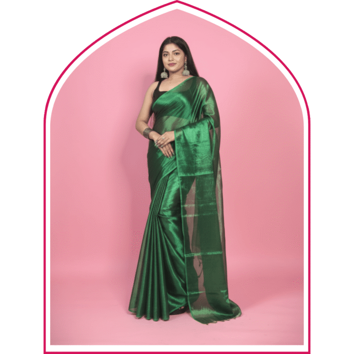 Raga Tissue Saree